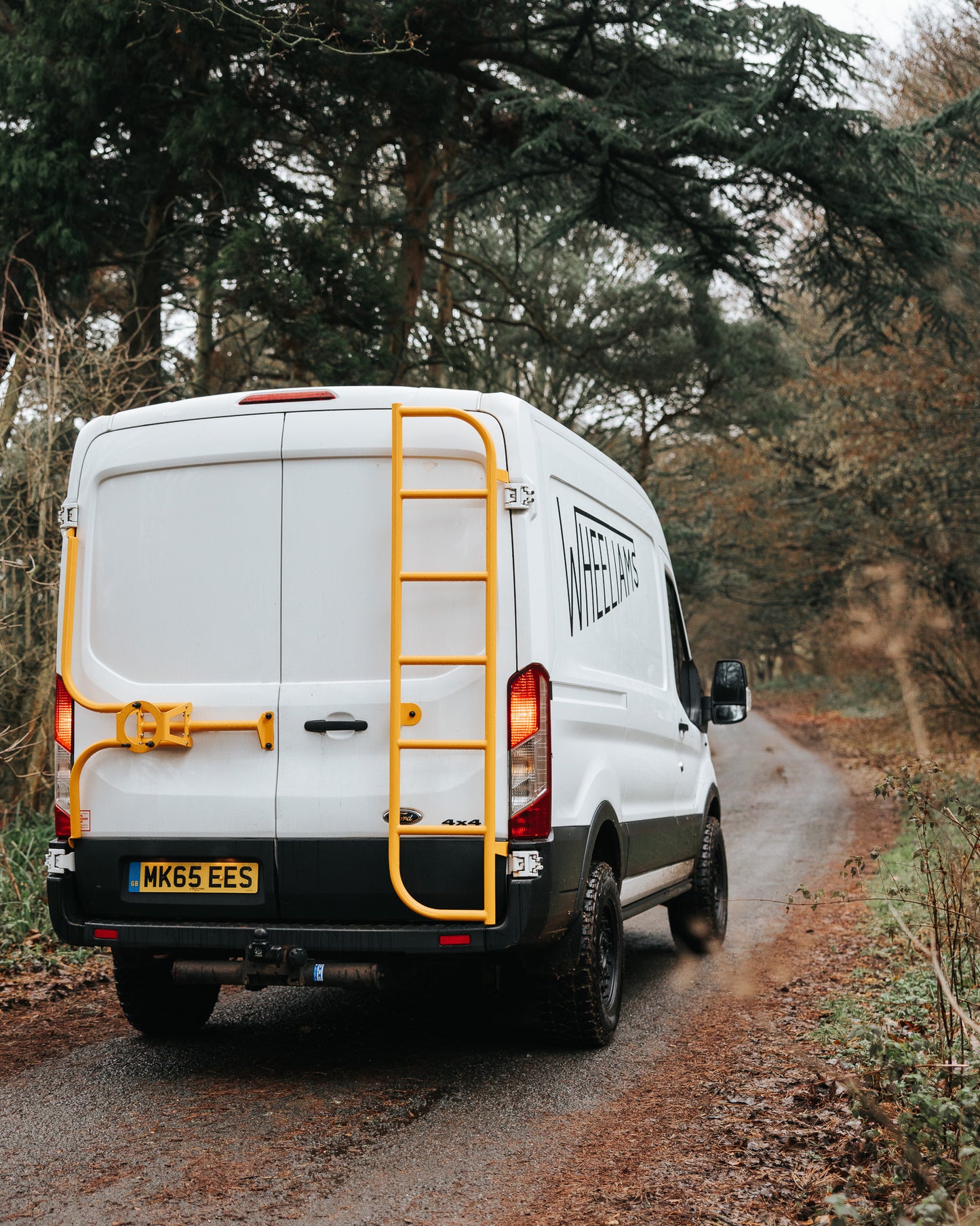 Ford Transit MK8 Rear Door Tubular Ladder 2014+ (&Tourneo)