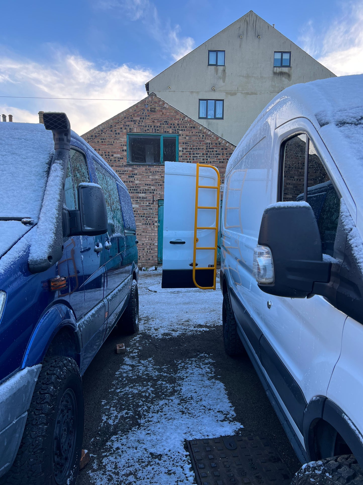 Ford Transit MK8 Rear Door Tubular Ladder 2014+ (&Tourneo)